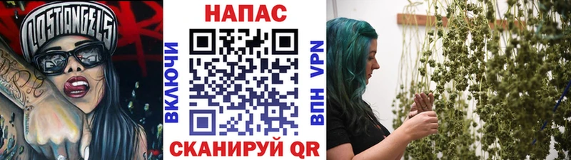 Где купить Далматово Амфетамин  Кокаин  МЕФ  Гашиш  A-PVP 