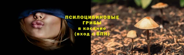 марки lsd Бугульма