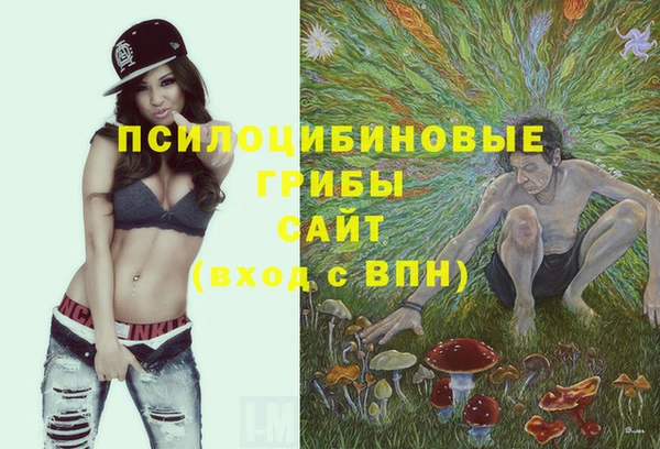 бутират Бородино